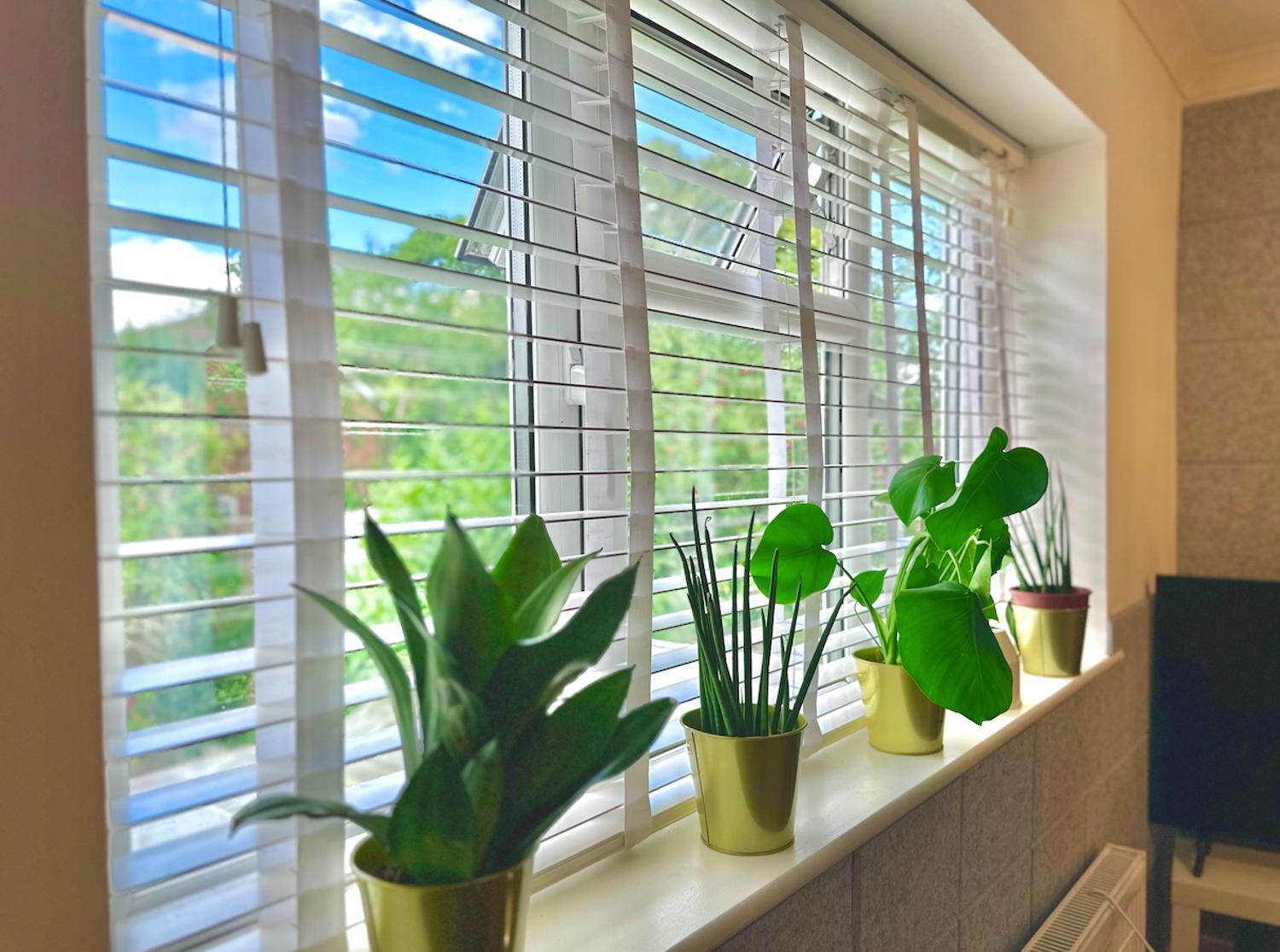 Stunning Business Travellers En-suite Bathroom Garden View